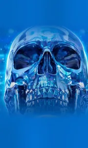 Crystal Skull